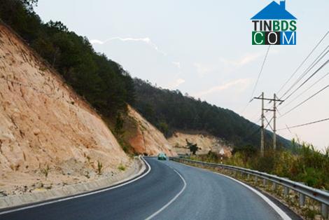 Hình ảnh Cam Ly - Đà Lạt, Lâm Đồng