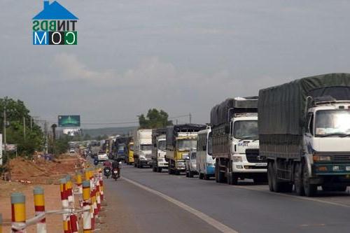 Hình ảnh Tuyên Quang, Lâm Đồng