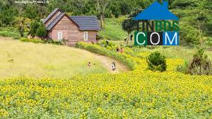 Hình ảnh Đơn Dương, Lâm Đồng