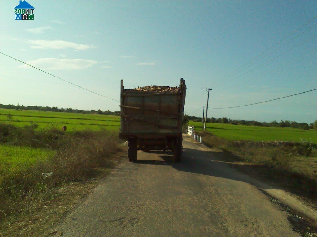 Hình ảnh Hải Ninh, Lâm Đồng