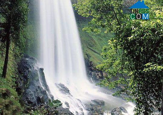 Hình ảnh 2 Bảo Lộc, Lâm Đồng