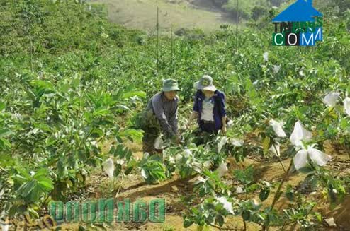 Hình ảnh Bắc Gia Nghĩa, Lâm Đồng