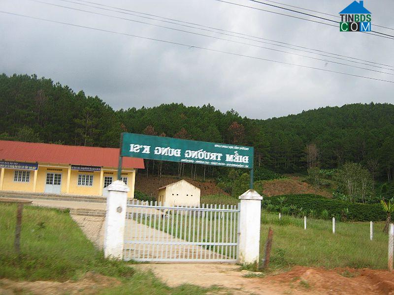 Hình ảnh Lạc Dương, Lâm Đồng