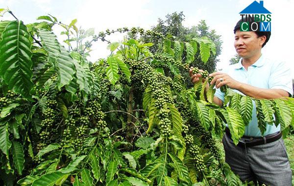 Hình ảnh Hòa Ninh, Lâm Đồng