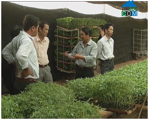 Hình ảnh Liên Hương, Lâm Đồng