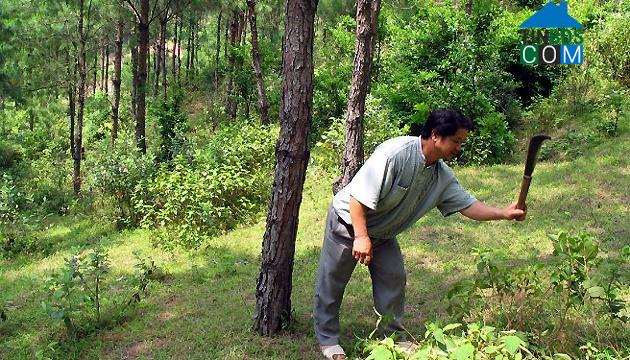 Hình ảnh Kiên Mộc, Lạng Sơn