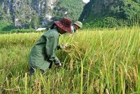 Hình ảnh Cai Kinh, Lạng Sơn