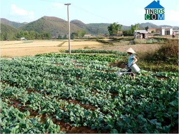 Hình ảnh Đông Kinh, Lạng Sơn