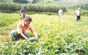 Hình ảnh Hữu Lũng, Lạng Sơn