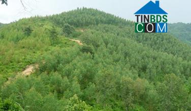 Hình ảnh Kháng Chiến, Lạng Sơn