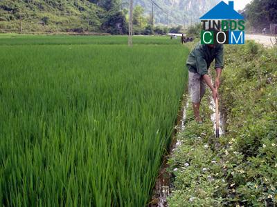 Hình ảnh Yên Phúc, Lạng Sơn