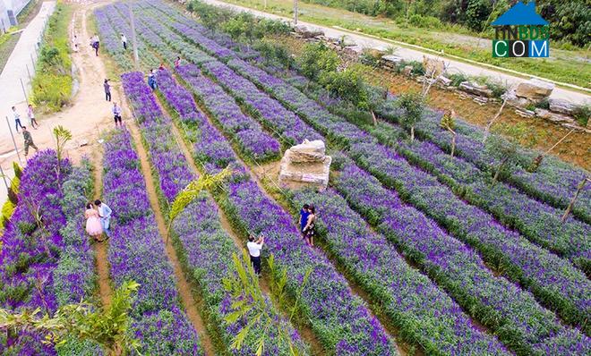Hình ảnh Bắc Hà, Lào Cai