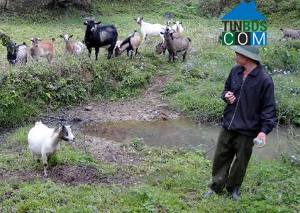 Hình ảnh Tân Đoàn, Lạng Sơn