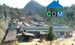 Hình ảnh Lùng Phình, Lào Cai