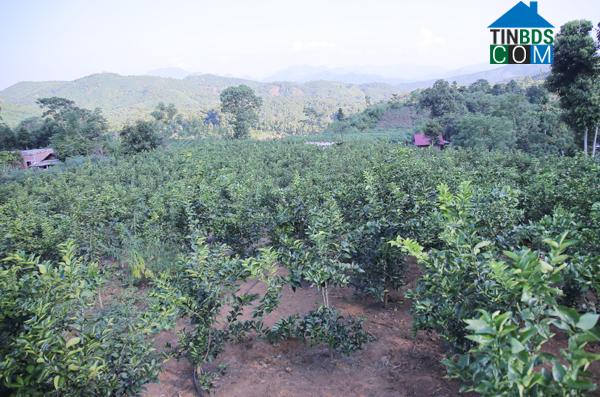 Hình ảnh Bảo Yên, Lào Cai