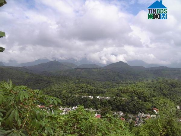 Hình ảnh Cam Đường, Lào Cai