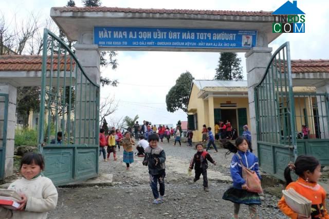 Hình ảnh Cao Sơn, Lào Cai