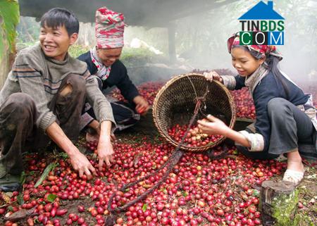 Hình ảnh Dền Sáng, Lào Cai