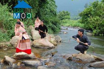 Hình ảnh Tân Hợp, Lào Cai