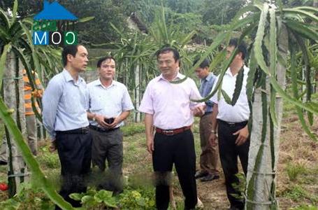 Hình ảnh Thác Bà, Lào Cai