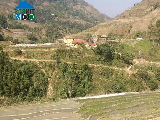 Hình ảnh Trạm Tấu, Lào Cai