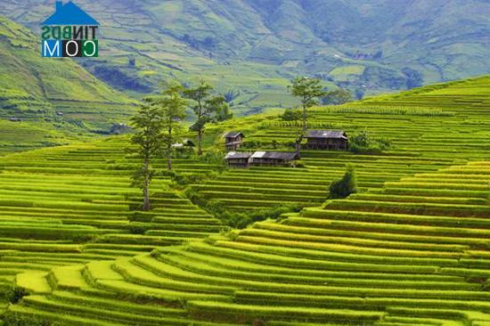 Hình ảnh Tú Lệ, Lào Cai