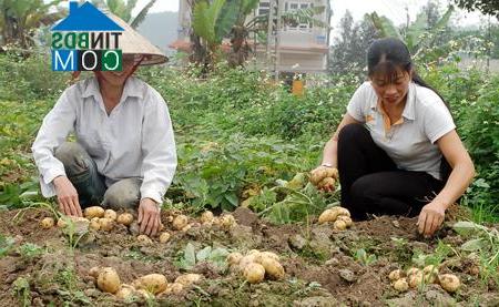 Hình ảnh Xuân Ái, Lào Cai