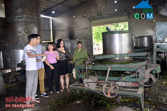 Hình ảnh Hoa Quân, Nghệ An