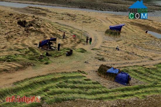 Hình ảnh Hữu Kiệm, Nghệ An