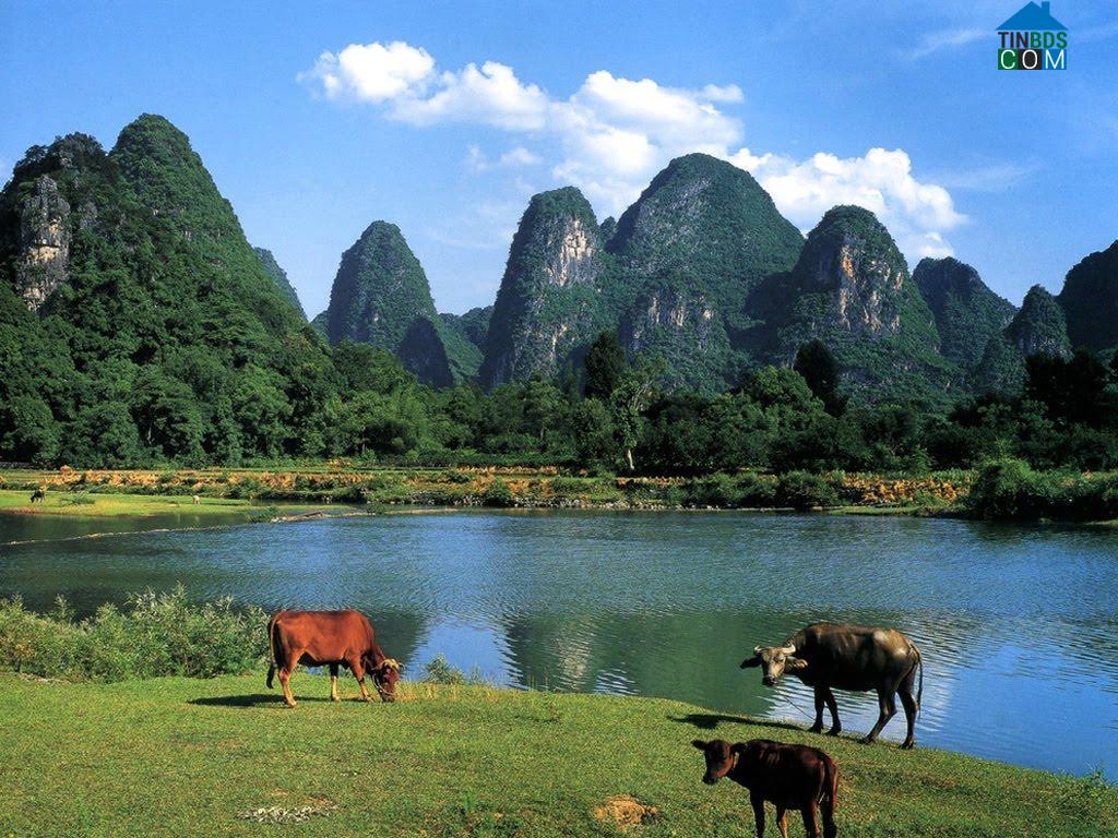 Hình ảnh Yên Thành, Nghệ An