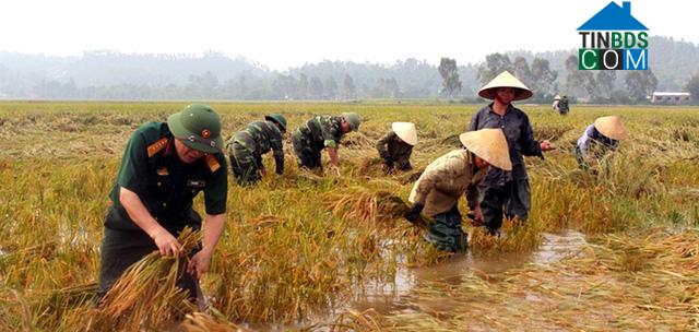 Hình ảnh Yên Trung, Nghệ An