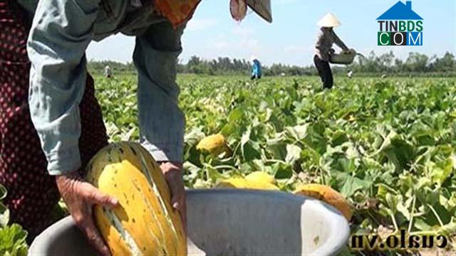 Hình ảnh Cửa Lò, Nghệ An