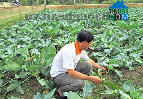 Hình ảnh Nghĩa Lâm, Nghệ An