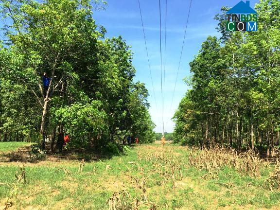 Hình ảnh Nghĩa Mai, Nghệ An