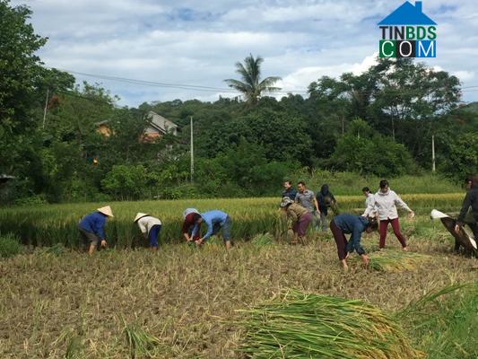 Hình ảnh Nhân Hòa, Nghệ An