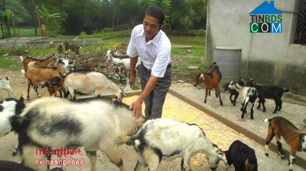 Hình ảnh Phúc Lộc, Nghệ An