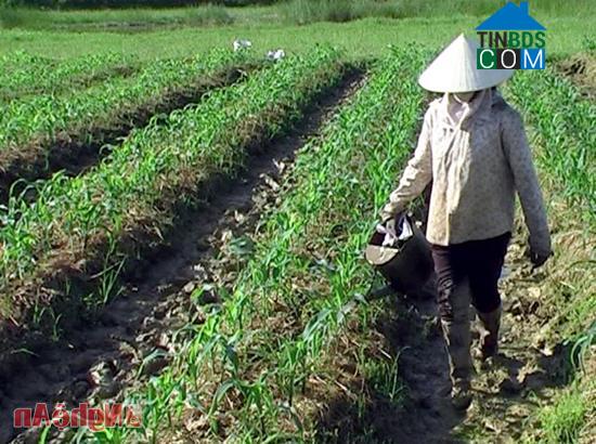 Hình ảnh Quang Đồng, Nghệ An