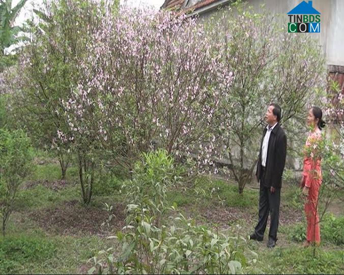 Hình ảnh Nghi Lộc, Nghệ An