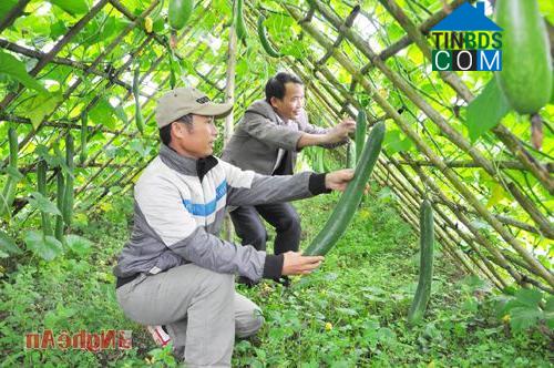 Hình ảnh Nghĩa Đàn, Nghệ An