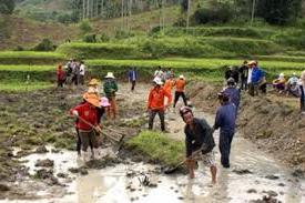 Hình ảnh Sơn Tây, Quảng Ngãi