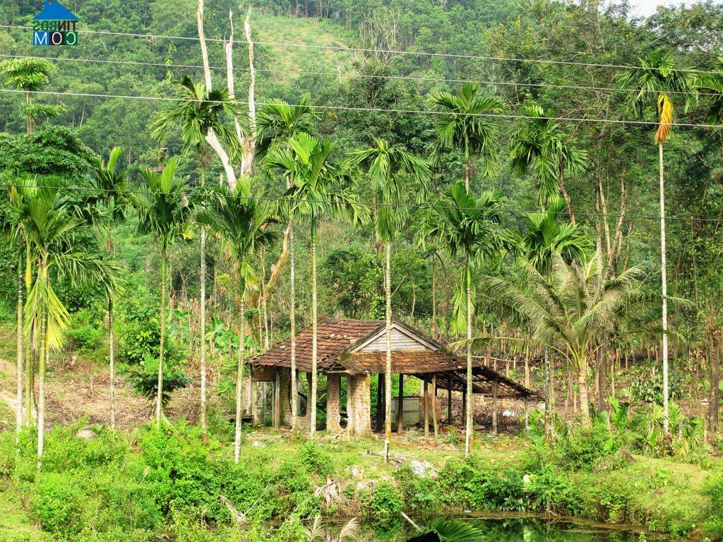 Hình ảnh Kon Plông, Quảng Ngãi