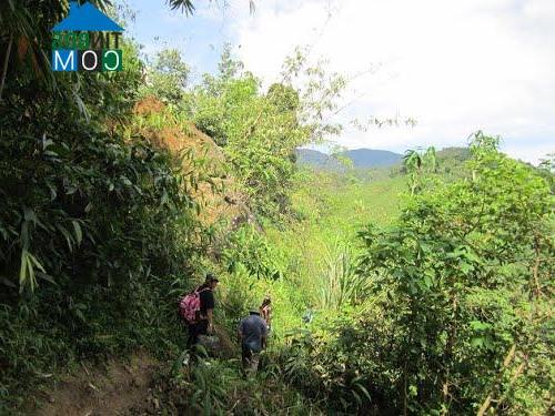 Hình ảnh Măng Ri, Quảng Ngãi