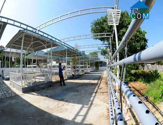 Hình ảnh Nghĩa Hành, Quảng Ngãi