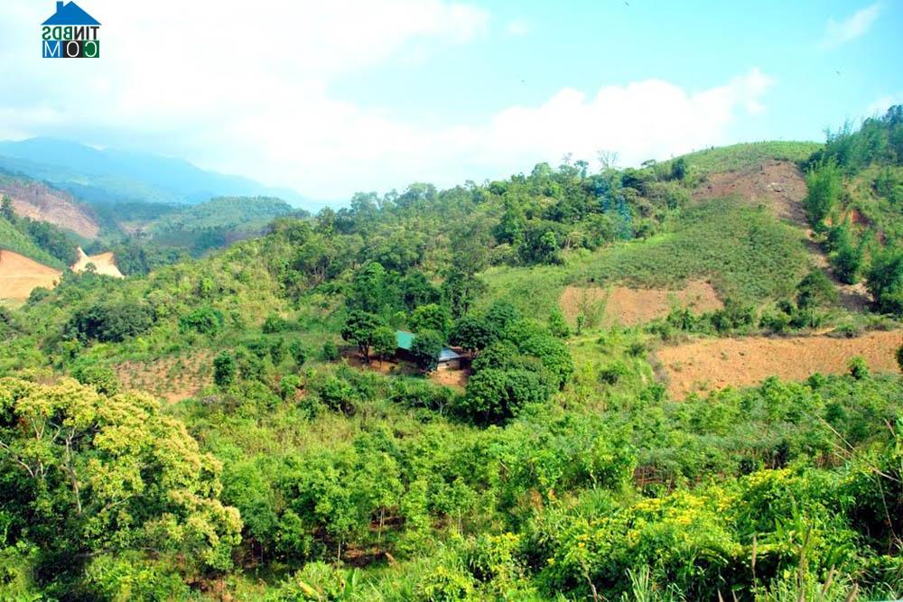 Hình ảnh Ngọc Linh, Quảng Ngãi