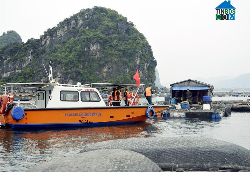 Hình ảnh Cẩm Phả, Quảng Ninh