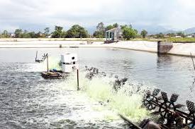 Hình ảnh Đông Ngũ, Quảng Ninh