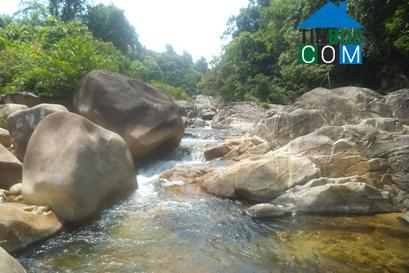 Hình ảnh Thiện Tín, Quảng Ngãi