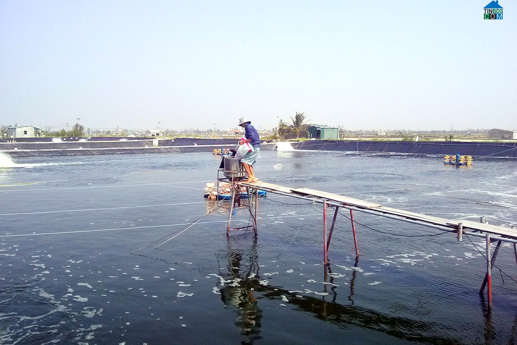 Hình ảnh Móng Cái 2, Quảng Ninh