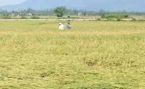 Hình ảnh Hoàn Lão, Quảng Trị