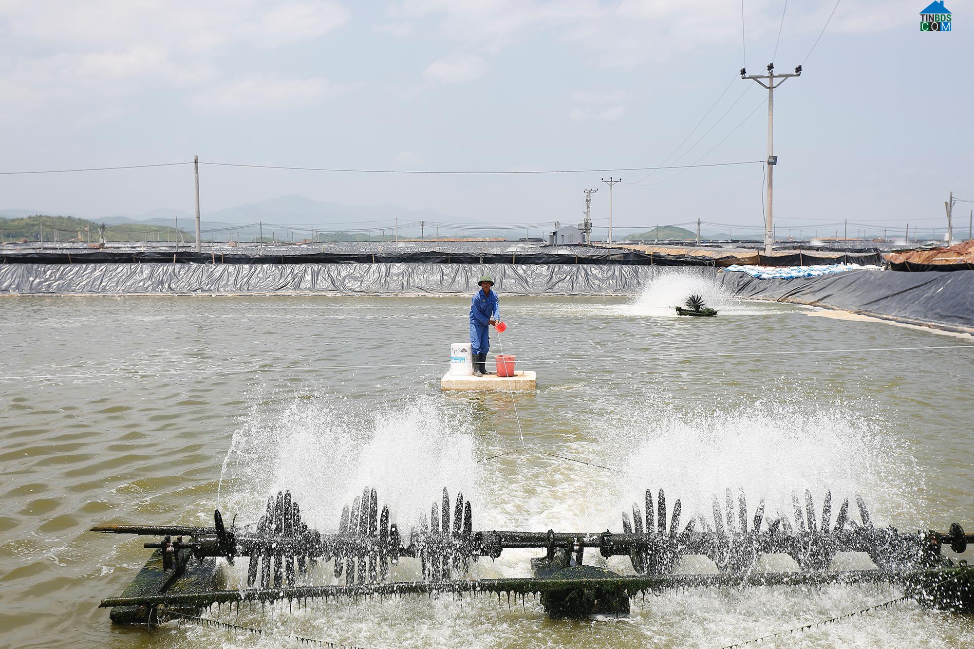 Hình ảnh Đầm Hà, Quảng Ninh